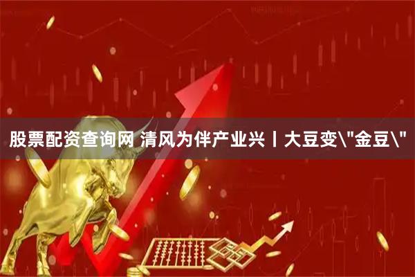 股票配资查询网 清风为伴产业兴丨大豆变＂金豆＂